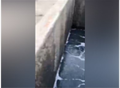 蓝清环保--气浮机处理视频